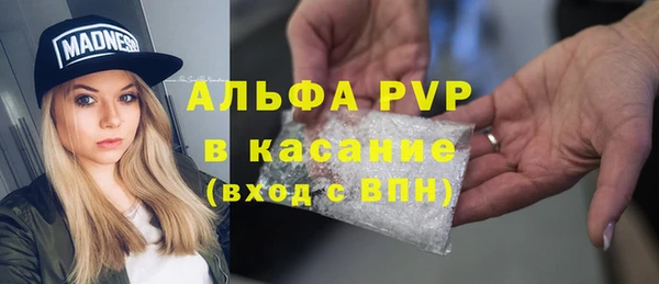 спиды Касимов