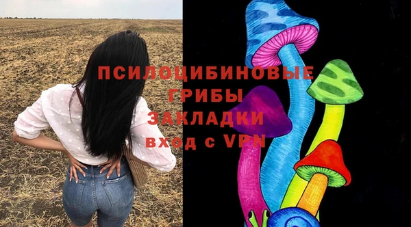 спиды Касимов