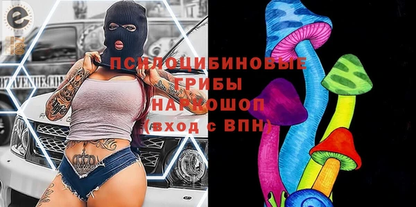 индика Карталы