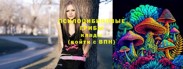 индика Карталы