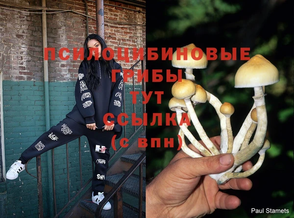 индика Карталы