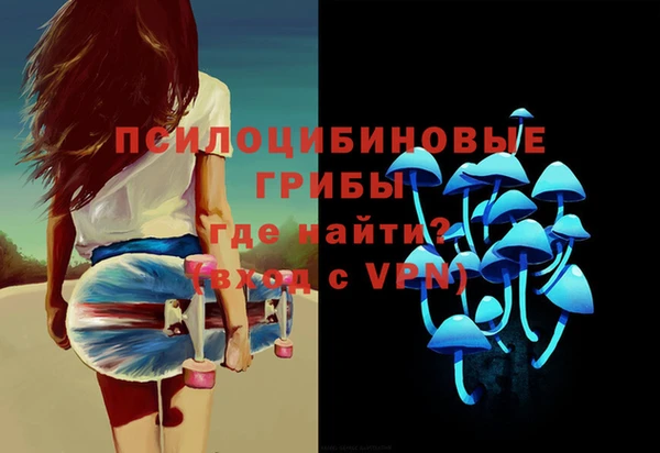 спиды Касимов