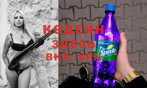 индика Карталы