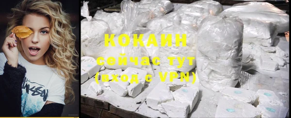 индика Карталы