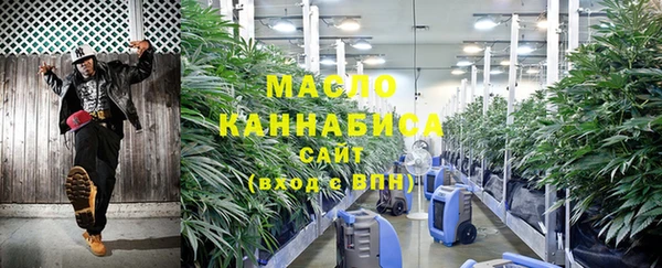 индика Карталы