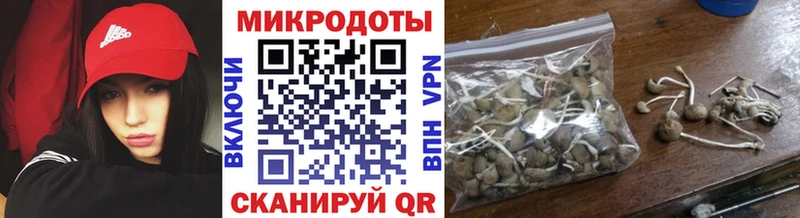 Псилоцибиновые грибы Psilocybine cubensis  Купить закладки  Берёзовский 
